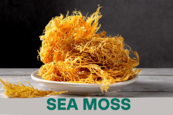 Sea Moss, Superfoods for Health