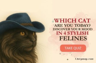 Which Cat Are You Today? Discover Your Mood in 4 Stylish Felines