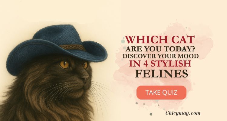 Which Cat Are You Today? Discover Your Mood in 4 Stylish Felines