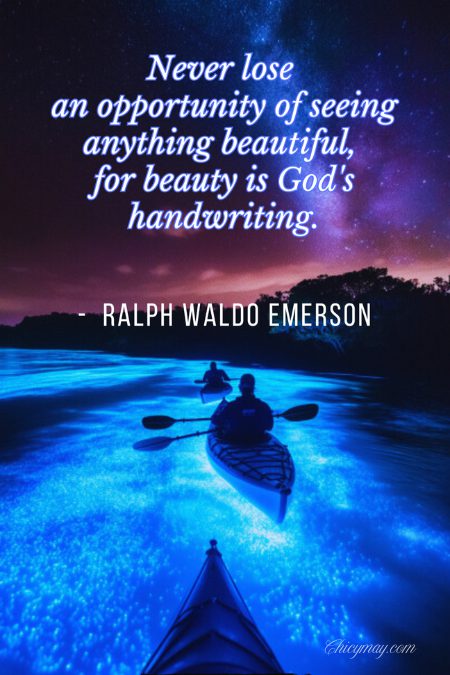 10 Soulful Quotes That Will Touch Your Heart and Stay With You